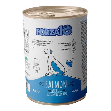 FORZA 10 ALL DAY SALMON AND WHITE RICE 400 GR CV
