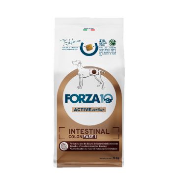 FORZA 10 INTESTINAL COLON FASE 1 10 KG