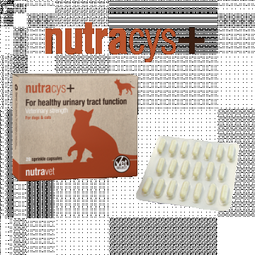 Nutravet Nutracys+ Sustinerea Tractului Urinar Caini si Pisici 20 Capsule