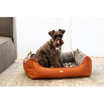 Pat caine - CAZO Oxford - 73x57cm