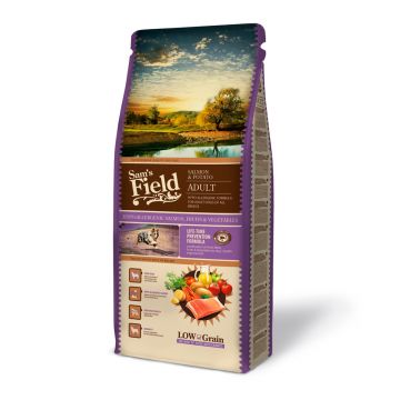 Sam's field salmon & potato adult 13kg
