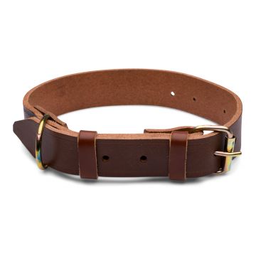 Zgarda caine 2cm nr.1