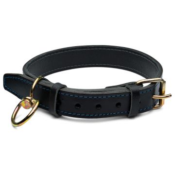 Zgarda dubla caine 2.5cm nr.6