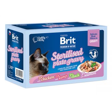 Brit Premium by Nature Cat Delicate Fillets in Gravy Family Plate for Sterilised 12x85 g