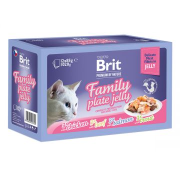 Brit Premium by Nature Cat Delicate Fillets in Jelly Family Plate 12x85 g