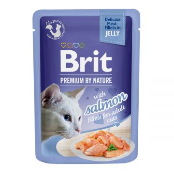 Brit Premium by Nature Cat Delicate Fillets in Jelly with Salmon 85 g
