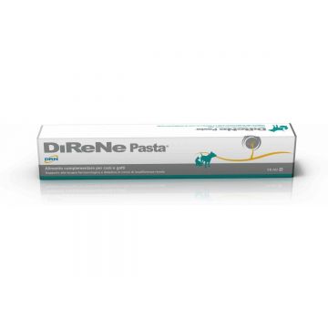 DIRENE Pasta, 15 ml