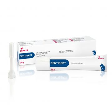 Dentisept Gel, 20 g