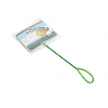 Minciog, Padovan, 15 cm