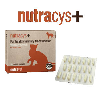 Nutravet Nutracys+, Caini & Pisici, 20 capsule