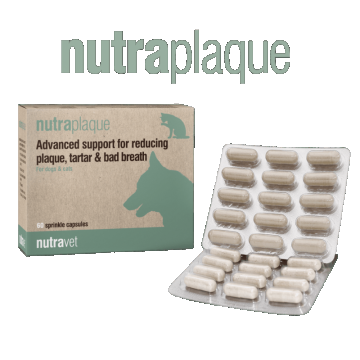 Nutravet NutraPlaque, Caini & Pisici, 45 capsule moi