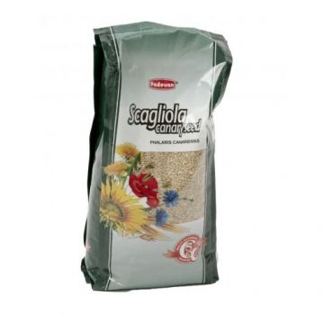 Padovan, Hrana Pasari, Scagliola, 1 kg