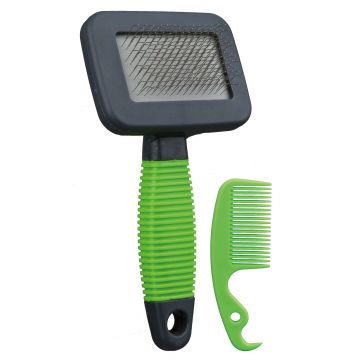 Set Perie si Piaptan 13.5x7 cm 6288