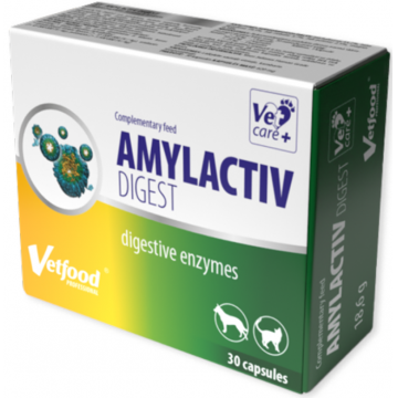 VetFood Amylactiv Digest, 30 capsule