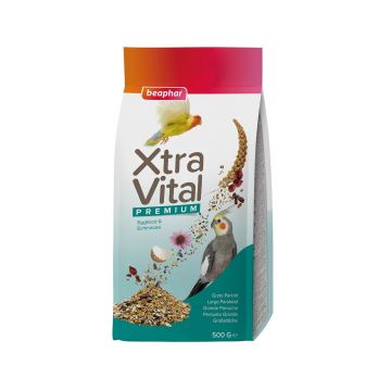 Beaphar Xtra Vital Hrana Premium pentru Nimfe, 500 g