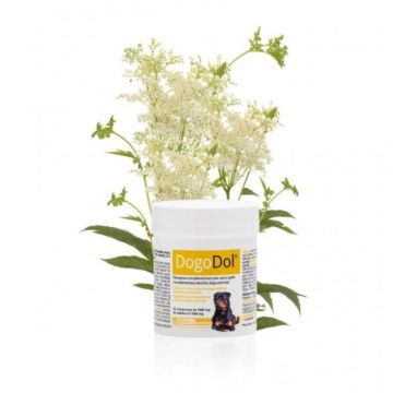 DOGOTEKA DOGO DOL 45 tablete, caini si pisici