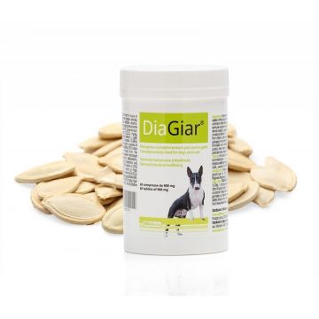 DOGOTEKA DOGO GIAR 60 tablete, caini si pisici