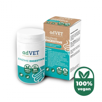 Enzime Digestive, supliment alimentar, 90 capsule
