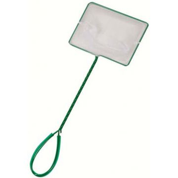 FLAMINGO Minciog verde