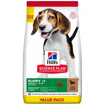 HILL's Canine PUPPY Talie Medie, cu Miel şi Orez