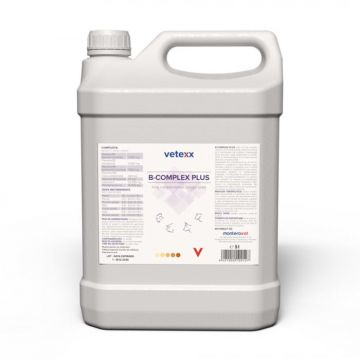 Vetexx B-Complex Plus 5L