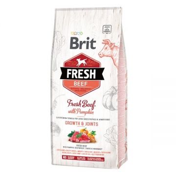 Brit Fresh Beef and Pumpkin Puppy Large, 12 kg ieftina