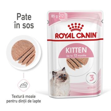 Royal Canin Kitten hrana umeda pisica (pate), 12x85 g la reducere