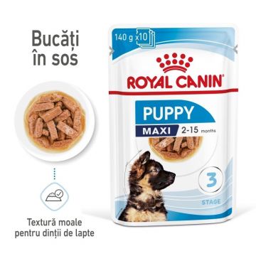 Royal Canin Maxi Puppy hrana umeda caine junior (in sos), 10 x 140 g ieftina