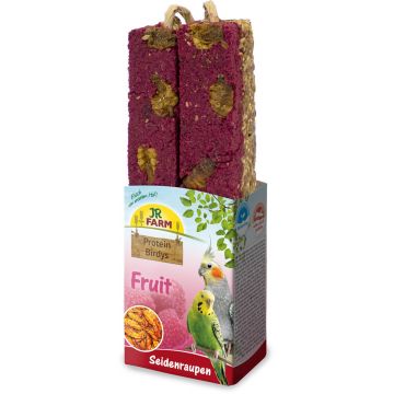 JR FARM Baton proteic cu fructe şi viermi de mătase 150g