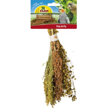 JR FARM Pick&Fly, hrană complementară pentru păsări, crenguţe 130g