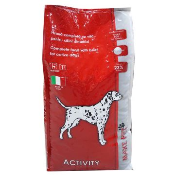 MAXI PET ACTIVITY Hrană uscată pentru câini adulţi, cu Vită