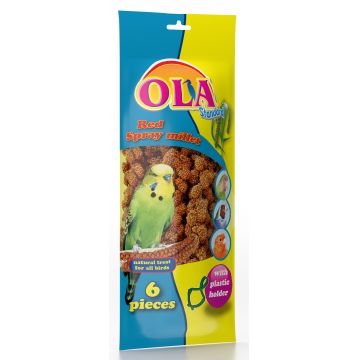 OLA Crenguţe de mei roşu, pachet de 6 bucăţi  + suport 140g