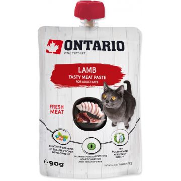 ONTARIO Pastă pentru pisici adulte, carne proaspătă de Miel 90g