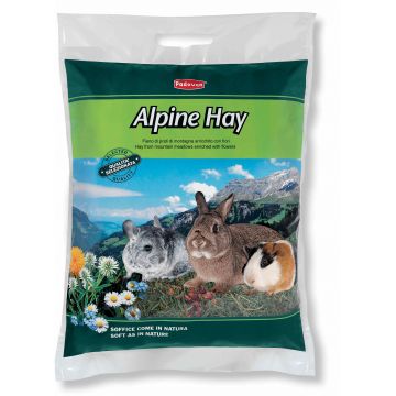 PADOVAN Alpine Hay, Fân pentru rozătoare 700g