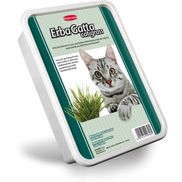 PADOVAN ErbaGatta, Iarbă pentru pisici 140g