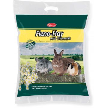 PADOVAN Fieno Hay, Fân cu muşetel pentru rozătoare 700g