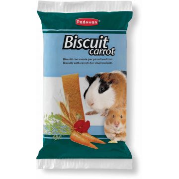 PADOVAN Grandmix, Biscuiti cu morcov pentru rozătoare 30g