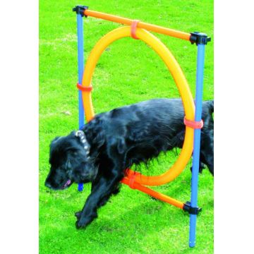 PAWISE Agility Cerc pentru sărituri, din plastic