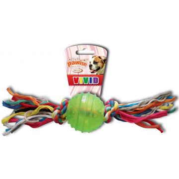 PAWISE Jucărie pentru câini Minge cauciuc TPR, cu sfoară,diverse culori,24cm