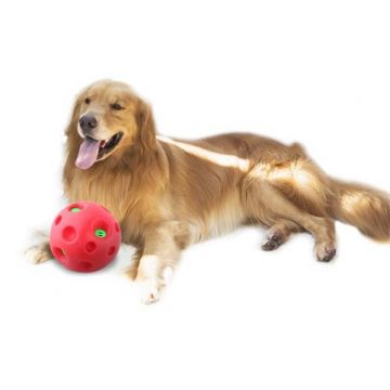 PAWISE Jucărie pentru câini Minge Shake Me Giggle Ball, diametru 15 cm