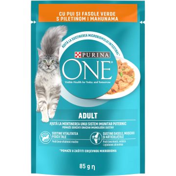 PURINA ONE Hrană umedă pentru pisici Adulte, cu Pui şi Fasole Verde, 85g