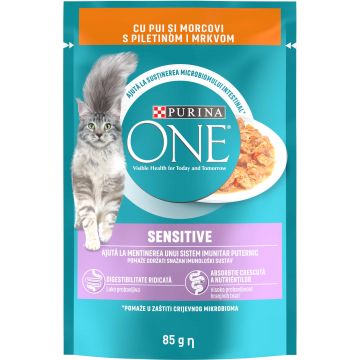 PURINA ONE Hrană umedă pentru pisici Adulte, Fileuri In Sos, Pui si Morcov 85g