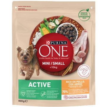 PURINA ONE Mini Hrană uscată pentru câini Pui/Orez 800g