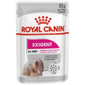ROYAL CANIN CCN Exigent Loaf Plic hrană umedă pentru câini