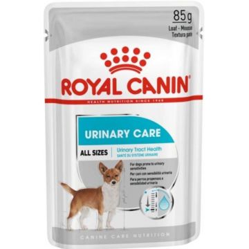 ROYAL CANIN CCN Urinary Loaf Plic hrană umedă pentru câini 85g