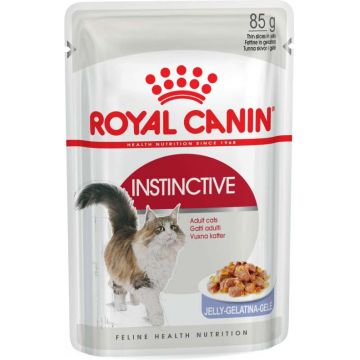 ROYAL CANIN FHN Instinctive Plic în Aspic pentru pisici 85g