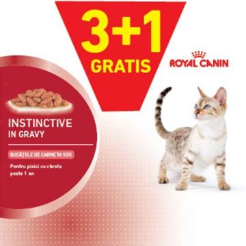 ROYAL CANIN FHN Instinctive Plic în Sos pentru pisici