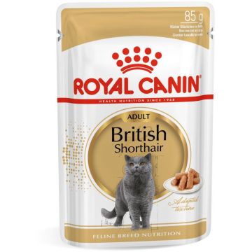 ROYAL CANIN FHN Plic pentru pisici British Shorthair 85g