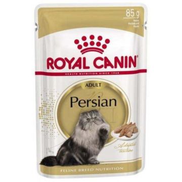 ROYAL CANIN FHN Plic pentru pisici Persian 85g