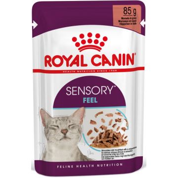 ROYAL CANIN FHN Sensory Feel în Sos Plic pentru pisici 85g
